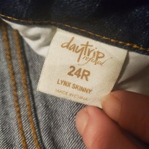 Buckle Daytrip Jeans